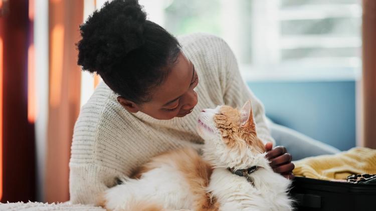 Pessoas com depressão relatam redução dos sintomas após brincar com seu gato