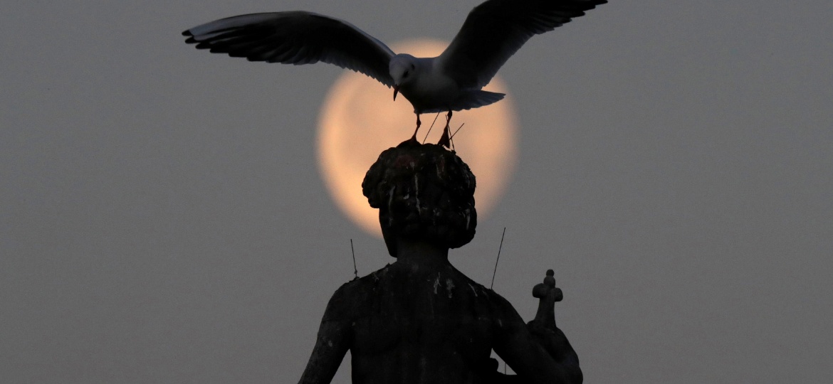 Lua é vista atrás de gaivota em estátua nos jardins de Luxembourg em Paris (França) - Christian Hartmann/Reuters