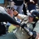 12.ago.2017 - Grupos de extrema-direita e antiracismo entram em confronto em Charlottesville, na Virgínia (EUA) - Chip Somodevilla/Getty Images/AFP