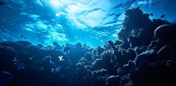 Apenas 15% do oceano do planeta é mapeado - Stock Colors