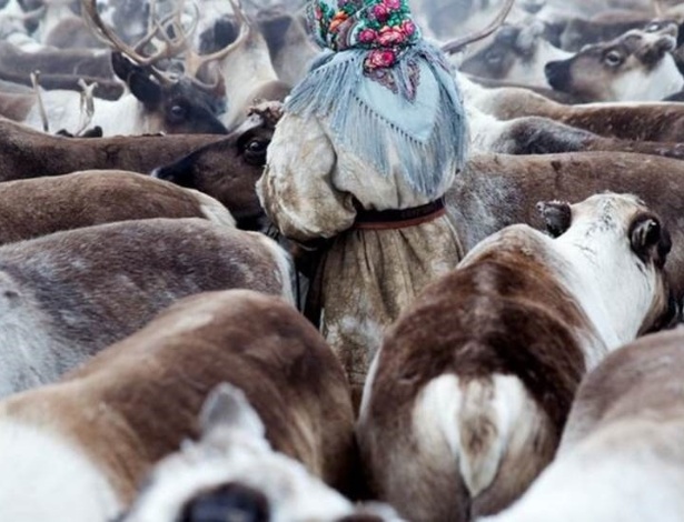 Mulher cuida de rebanho de renas na região da Sibéria (Rússia) - Oded Wagenstein / BBC