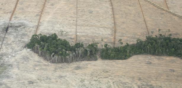 Área de desmatamento em Porto Seguro, regiao sul da Bahia.