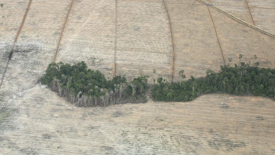 Área de desmatamento em Porto Seguro, região sul da Bahia. SOS Mata Atlantica alerta para o aumento do desmatamento entre 2015 e 2016 - Diego Padgurschi - 17.mai.2017/Folhapress