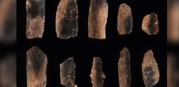 Não foi para se aquecer: por que nossos ancestrais usaram fogo pela 1ª vez?