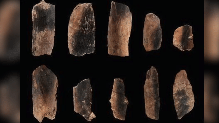 Ossos de gamo, um mamífero semelhante ao veado, encontrados na Caverna Qesem, em Israel, com marcas de queimaduras. As evidências indicam o uso do fogo por povos antigos Ossos de gamo, um mamífero semelhante ao veado, encontrados na Caverna Qesem, em Israel, com marcas de queimaduras. As evidências indicam o uso do fogo por povos antigos