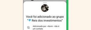 Resumo de segurança: WhatsApp vai mostrar histórico de grupo contra golpe (Foto: Reprodução)