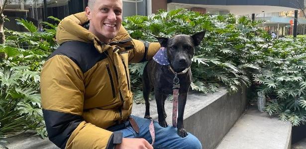 Australiano recorre à IA para desenvolver vacina que salve sua cadela do câncer