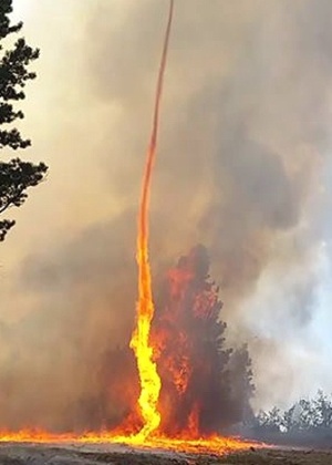 Tornado de fogo em incêndio florestal em Beaver Creek, no Colorado (EUA) - Facebook/Beaver Creek Fire