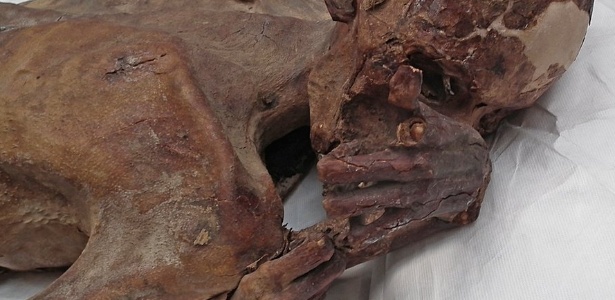 2.mar.2018 - Múmia do homem, que tinha entre 18 e 21 anos quando morreu, tem no braço dois desenhos sobrepostos de animais - Museu Britânico/Divulgação