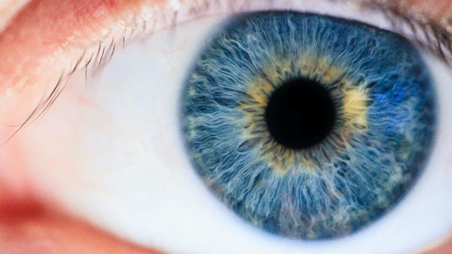 Tecnologia mapeia os olhos de uma pessoa para detectar qual o ponto da imagem digital que ela está prestando atenção - Michael Morse/ Pexels