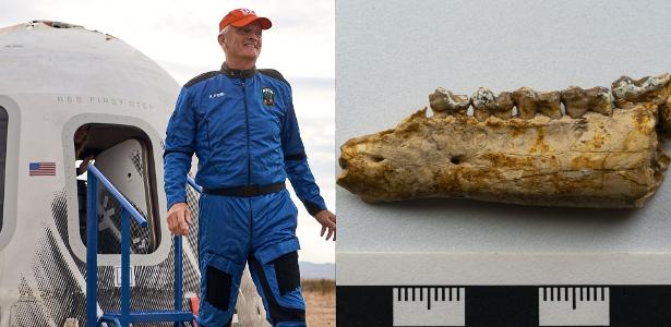 Como um professor viajou ao espaço com um 'cavalo' de 56 milhões de anos