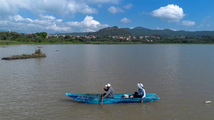 O pescador Israel Correa e pesquisadores da Universidade Michoacán de San Nicolas de Hidalgo monitoram o Lago Patzcuaro e buscam ovos de achoque O pescador Israel Correa e pesquisadores da Universidade Michoacán de San Nicolas de Hidalgo monitoram o Lago Patzcuaro e buscam ovos de achoque