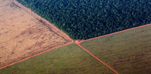 Foto aérea mostra a floresta Amazônica (na parte superior) fazendo fronteira com terras desmatadas para o plantio - Paulo Whitaker/ Reuters