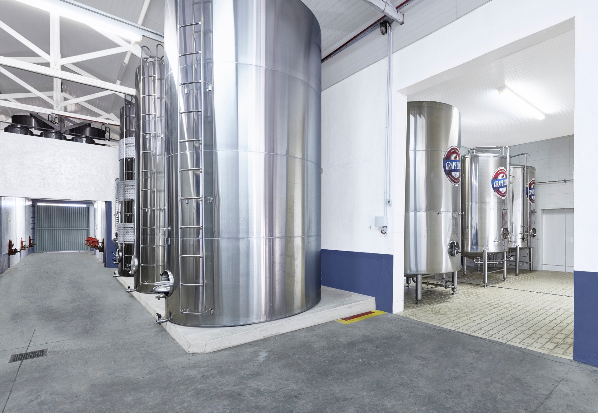 Produção de vinhos da Vinícola Góes - Divulgação