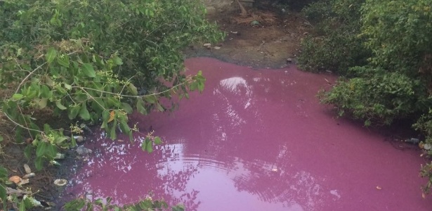 O Instituto de Meio Ambiente e o Instituto Biota investigam as causas da mudança de coloração