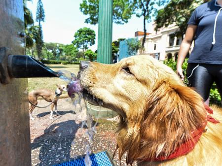 Calor Bate Recorde Em Bh E Dia Mais Quente Da Historia Chega A 37 8 C Noticias Bol