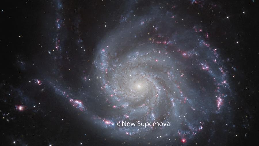 Localização da supernova 2023ixf, descoberta pelo astrônomo japonês Koichi Itagaki, na Galáxia do Cata-Vento - Craig Stocks