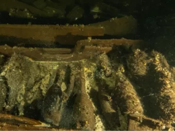 Ouro líquido: navio naufragado há 170 anos é achado cheio de champanhe