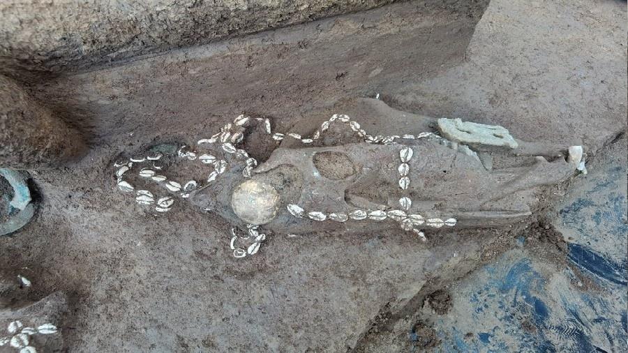 Os trabalhos no sítio arqueológico em Anyang (China) revelaram tumbas e objetos da dinastia Shang - Divulgação/Anyang Institute of Cultural Relics and Archaeology