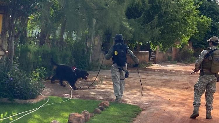 Policiais usam cães farejadores em busca por fugitivos do presídio de Mossoró
