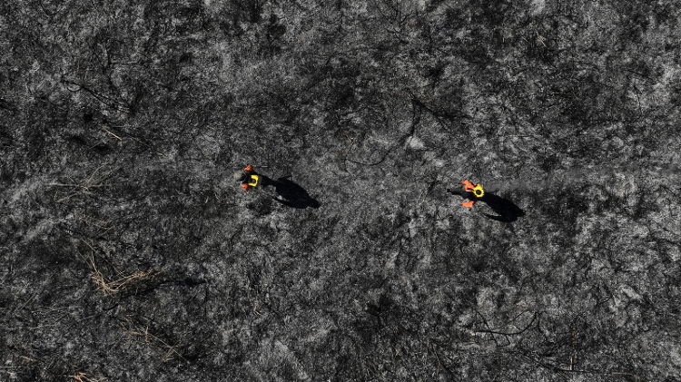 Bombeiros voluntários andando por uma área totalmente queimada do Pantanal, em Corumbá (MS)