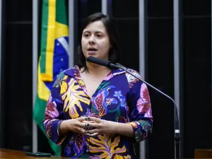 Samia: Responsável por golpe, Bolsonaro ameaça democracia e deve ser preso