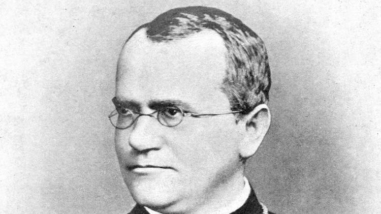 O biólogo Gregor Mendel O biólogo Gregor Mendel