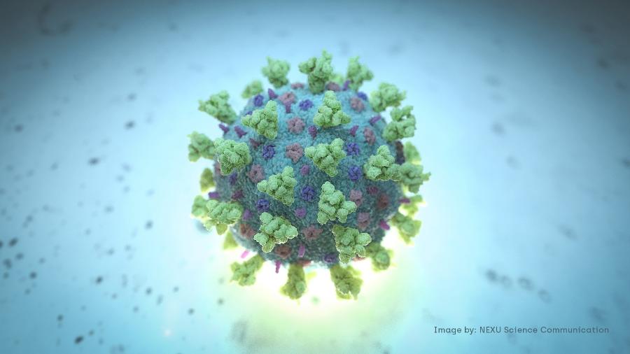 Imagem criada por computador do novo coronavírus - NEXU Science Communication