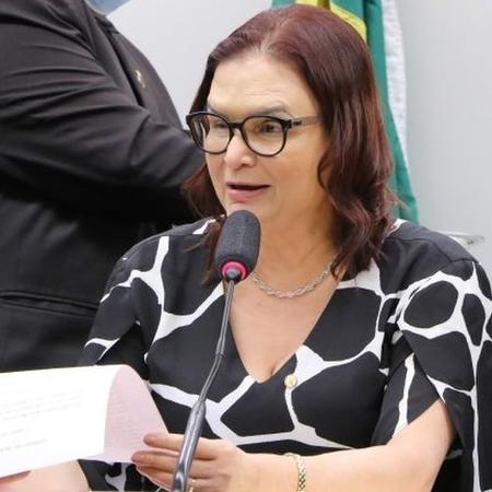 Deputada Rosa Neide - WESLEY AMARAL/CÂMARA DOS DEPUTADOS