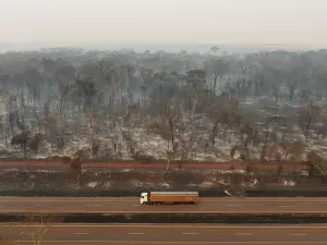 Pauta ambiental é oportunidade para oposição nos municípios, diz professor