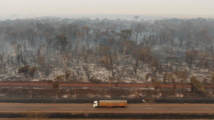 Drone mostra área queimada perto de Ribeirão Preto, em 24 de agosto