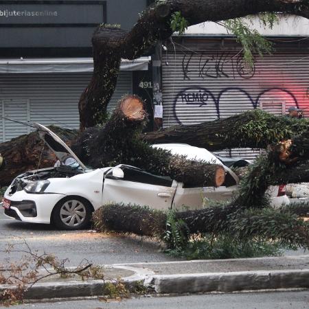 Tempestade derruba árvore de grande porte, que cai em cima de veículo, na avenida Senador Queiros, região central de São Paulo, causando a morte de um taxista Tempestade derruba árvore de grande porte, que cai em cima de veículo, na avenida Senador Queiros, região central de São Paulo, causando a morte de um taxista