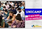 Vestibular da Unicamp: o que mais cai e o que estudar