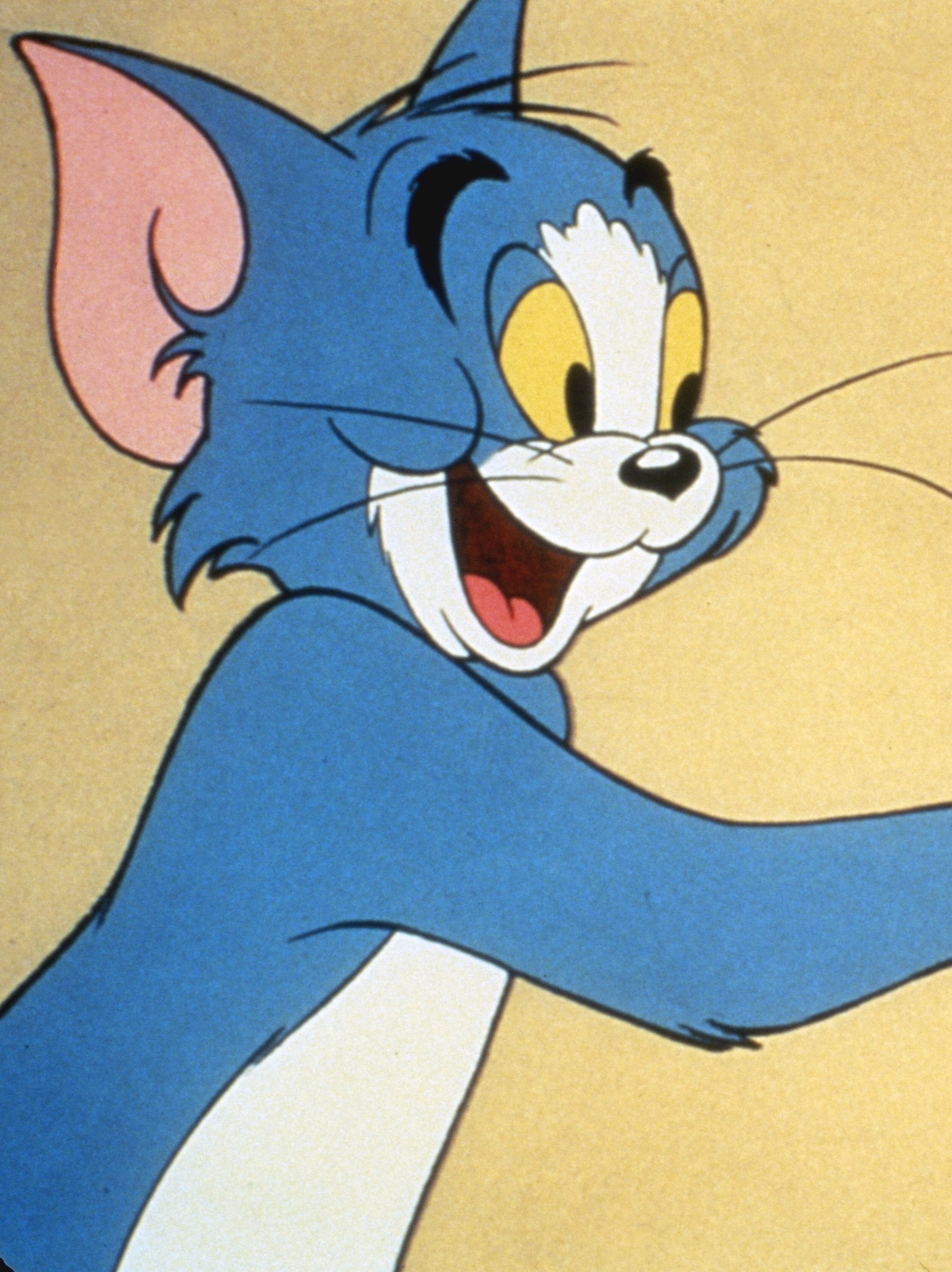 Tom e Jerry: Live-action deve chegar aos cinemas em 2020