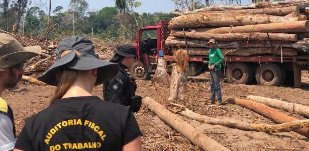 Brasil encontrou 1054 escravizados em 2019; MG segue à frente em vítimas