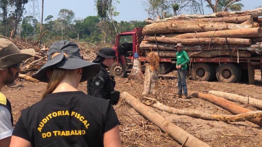 Caminhão com toras de madeira derrubadas por grupo de trabalhadores resgatados da escravidão em Rondônia em 2019 - Grupo Especial de Fiscalização Móvel/ME