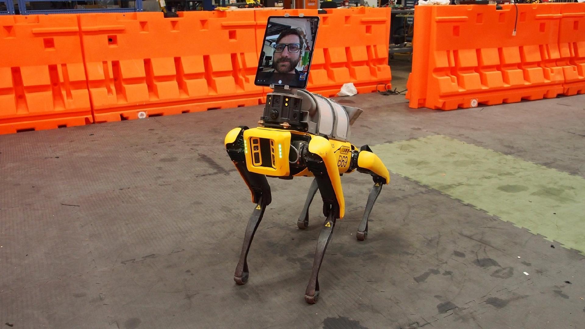 Cão robô Spot, da Boston Dynamics, já arruma casas e até planta flores