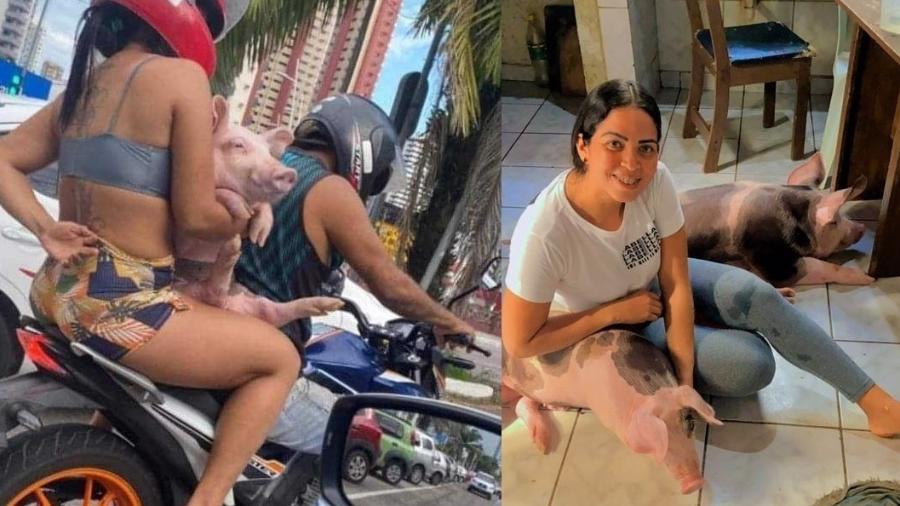 Tallissa Silva, 26, buscava atendimento veterinário de urgência para Lula, um dos porcos, quando viralizou - Tallissa Silva/Arquivo Pessoal