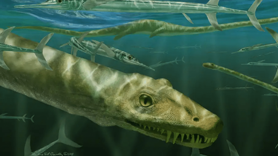 O Dinocephalosaurus orientalis era um réptil marinho parecido com um dragão, que se alimentava de peixes