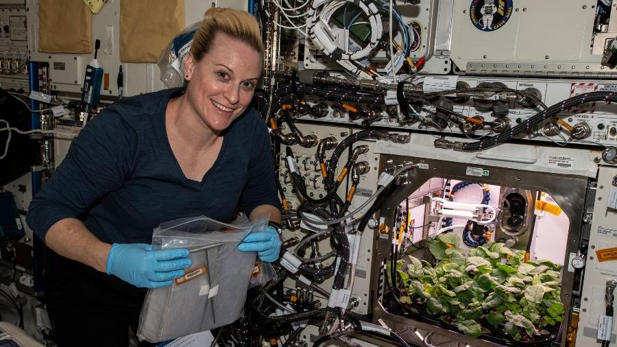 Em imagem de 27 de novembro de 2020, astronauta norte-americana Kate Rubins verifica plantação de rabanetes do experimento Plant Habitat-02 - Nasa
