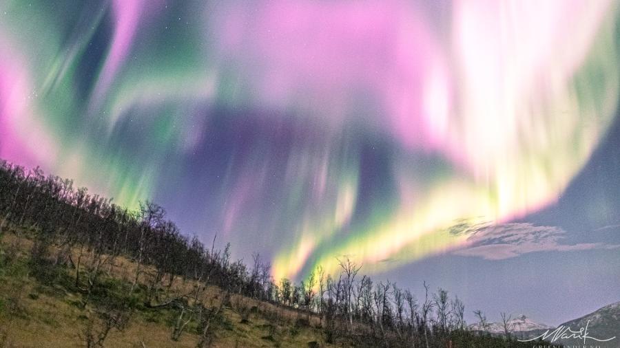 Tempestade solar causou rara aurora boreal  - Reprodução/ Greenlander Tromsø