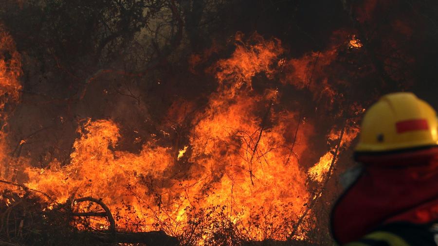 22.ago.2019 - Bombeiro trabalha no combate a incêndio em floresta na região de Santa Cruz, na Bolívia - STR/AFP