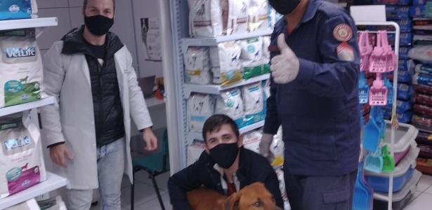 Engasgado com bolinha de borracha, cão é salvo por bombeiros no RS - Vimarsana News