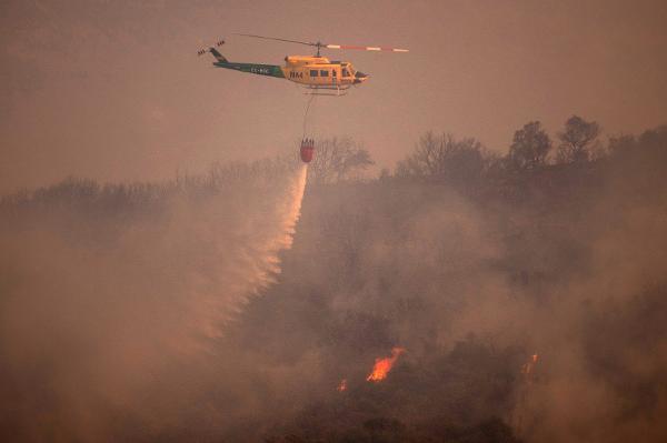 Onda de calor provoca incêndios na Europa