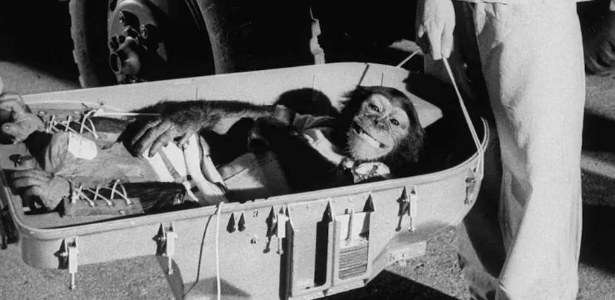 Antes da 'Arca de Noé' russa: os animais que já foram enviados ao espaço