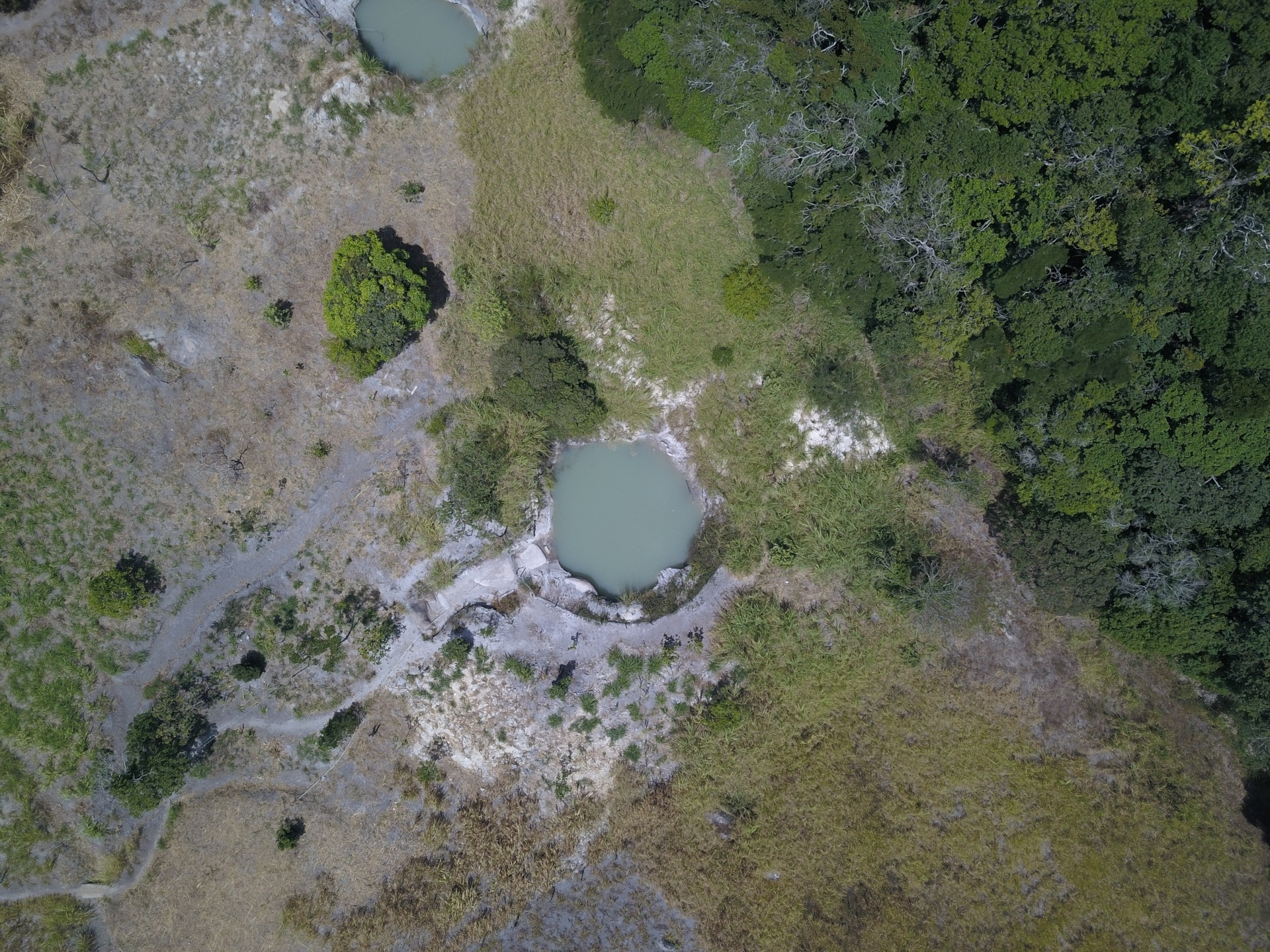 Simon Plestenjak/UOL