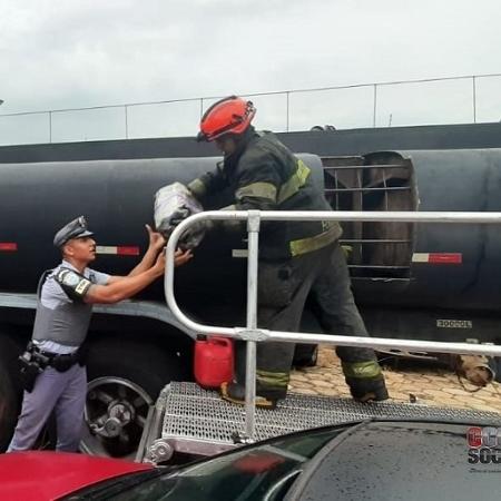 Policiais tiveram que cortar a lataria do caminhão para retirar a maconha - Divulgação