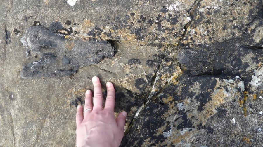 Fóssil foi encontrado na costa em Eigg, uma pequena ilha da Escócia - E Panciroli