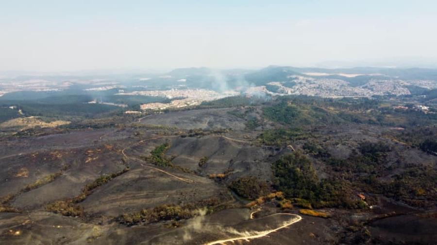 Incêndio no Parque do Juquery devastou mais de 80% dos 1.927 hectares de área - Reprodução/Facebook/Prefeitura Municipal de Franco da Rocha