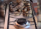 Homem encontra cobra cascavel em cima do fogão em GO - Reprodução